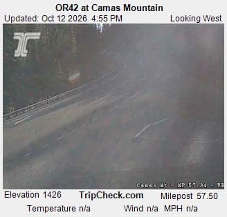 OR42 at Camas Mountain