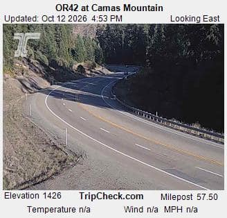 OR42 at Camas Mountain