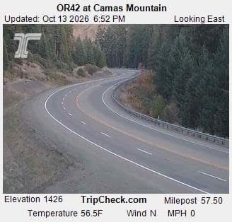 OR42 at Camas Mountain