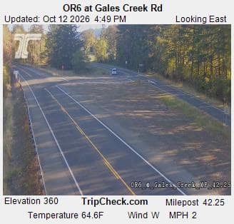OR6 at Gales Creek Rd