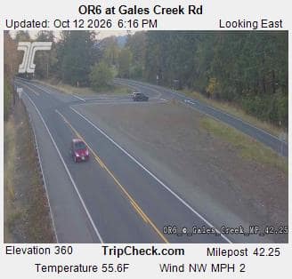 OR6 at Gales Creek Rd