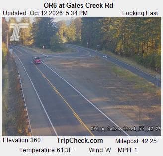 OR6 at Gales Creek Rd