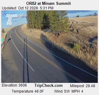 OR82 at Minam Summit