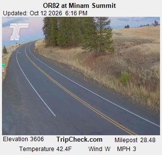 OR82 at Minam Summit