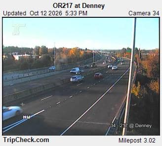 ORE 217 at Denney